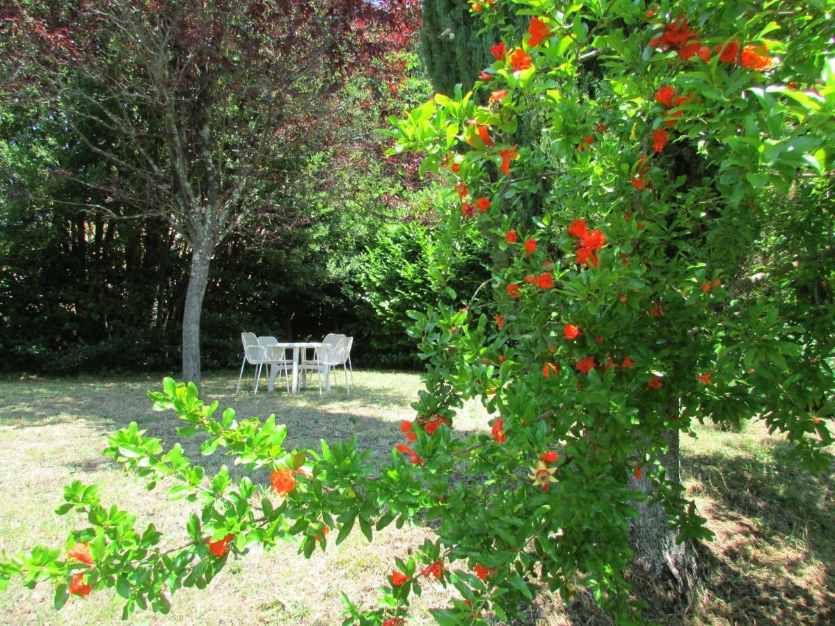 Agriturismo Dea Valfabbrica Dış mekan fotoğraf